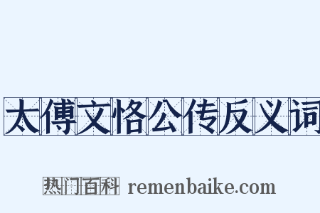 太傅文恪公传反义词是什么意思的图片